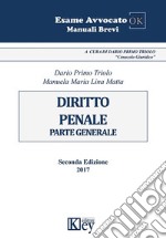 Diritto penale. Parte generale libro