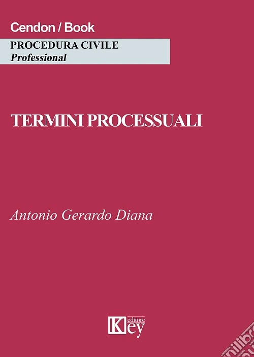 Termini processuali