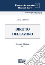 Manuale di diritto del lavoro