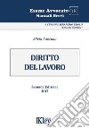 Manuale di diritto del lavoro libro