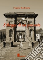 Schegge di un passato libro