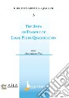 The ship: an example of legal pluri-qualification libro