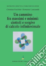 Un cammino tra massimi e minimi: ciottoli e sorgive di calcolo infinitesimale libro