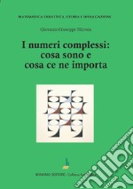 I numeri complessi: cosa sono e cosa ce ne importa libro