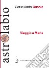 Viaggio a Maria libro