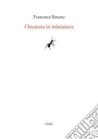 Ossatura in miniatura