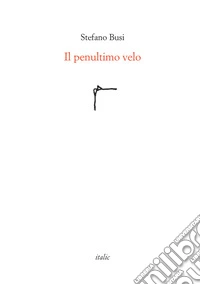Il penultimo velo
