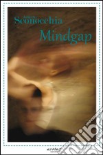 Mindgap libro