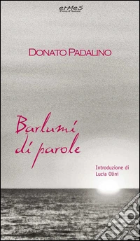 Barlumi di parole libro