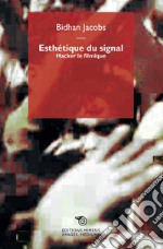 Esthetique du signal. Hacker le filmique