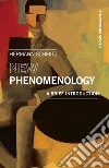 New phenomenology. A brief introduction libro