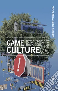 Game engine culture(s)