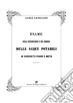 Esame della distribuzione e del dominio delle acque potabili in Sorrento Piano e Meta. Ediz. in facsimile