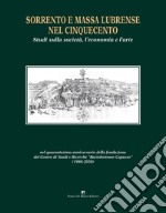 Sorrento e Massa Lubrense nel Cinquecento. Studi sulla società, l'economia e l'arte libro