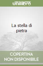 La stella di pietra libro