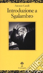 Introduzione a Sgalambro libro