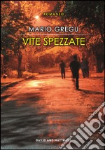 Vite spezzate libro