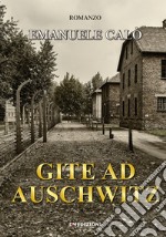 Gite ad Auschwitz