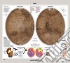 Marte. Luna. Carta murale astronomica libro