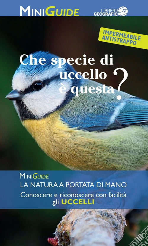 Che specie di uccello è questa?