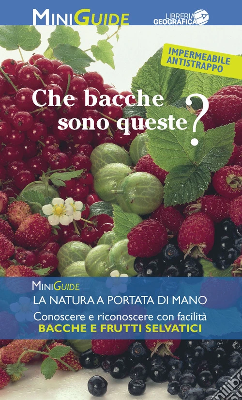 Che bacche sono queste?