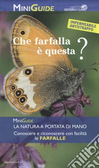 Che farfalla è questa?