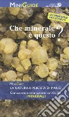 Che minerale è questo? libro