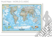 The world. Mural map