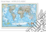 The world. Mural map libro