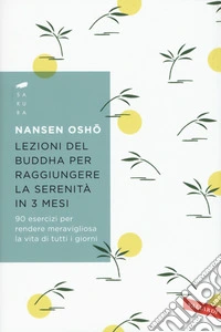 Lezioni del Buddha per raggiungere la serenità in 3 mesi. 90 esercizi per rendere meravigliosa la vita di tutti i giorni libro