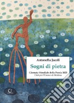 Sogni di pietra. Ediz. illustrata libro