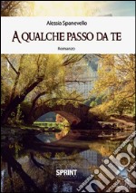 A qualche passo da te libro