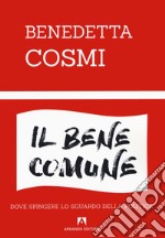 Il bene comune. Dove spingere lo sguardo della politica libro