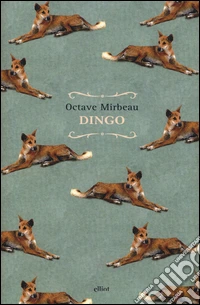 Dingo