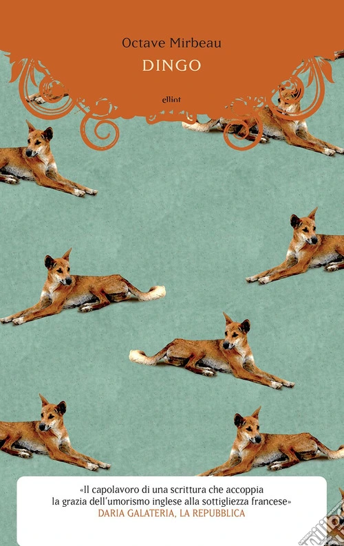 Dingo