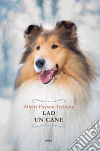 Lad. Un cane