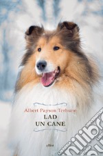 Lad. Un cane libro