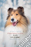 Lad. Un cane libro di Terhune Albert Payson