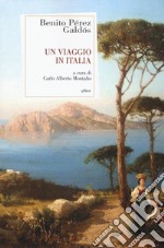 Un viaggio in Italia libro