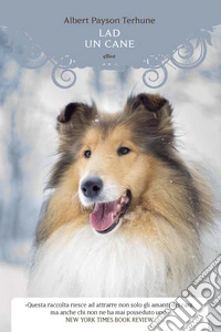 Lad. Un cane