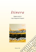 Itinera. Pagine scelte di Luigi Capogrossi Colognesi libro