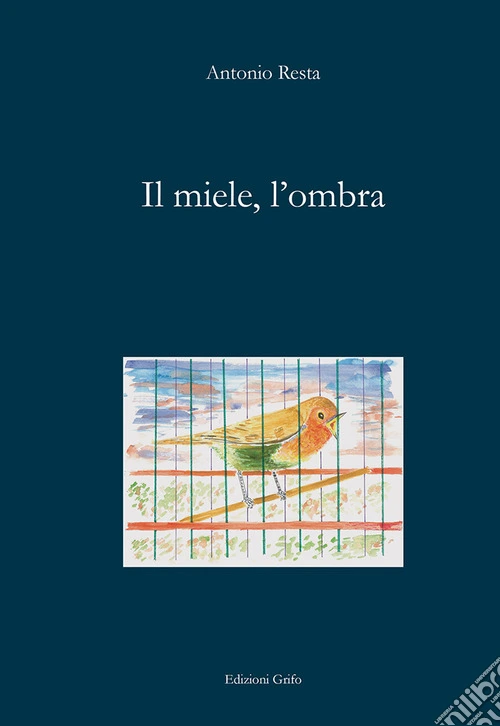 Il miele, l'ombra
