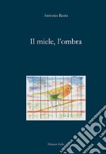 Il miele, l'ombra libro