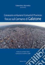 Conoscere e misurare i comuni di Provincia: focus sul comune di Galatone libro