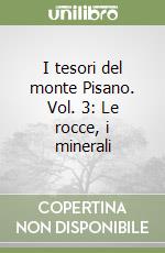 I tesori del monte Pisano. Vol. 3: Le rocce, i minerali