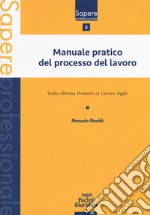 Manuale pratico del processo del lavoro. Dalla Riforma Fornero al Lavoro agile libro