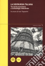 La siderurgia italiana. Tra storia economica e archeologia industriale. In onore di Ivan Toganrini. Atti del Convegno di studi (Piombino, 4-5 marzo 2016) libro