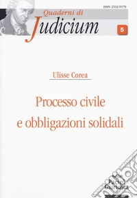 Processo civile e obbligazioni solidali
