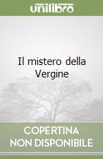 Il mistero della Vergine libro