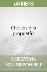 Che cos'è la proprietà? libro